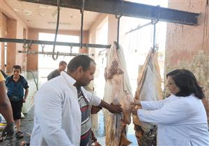 صور.. مصادرة 1100 كيلو لحوم مذبوحة خارج المجازر في الفيوم