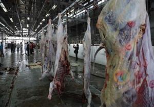 الأوقاف تواصل ذبح الأضاحي في مجزر أبوسنبل لليوم الثاني على التوالي