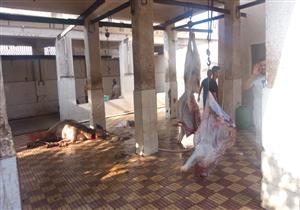 بيطري سوهاج: مجازر المحافظة استقبلت 400 أضحية في أول أيام العيد