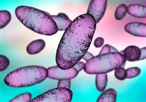 الصين تحذر من "الموت الأسود".. إليك ما تريد معرفته عن الطاعون الدبلي