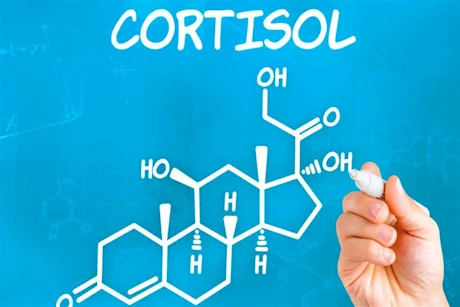 أطعمة تزيد هرمون الكورتيزول- تجنبها
