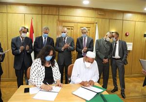 "تنمية المشروعات": ضخ 1.1 مليار جنيه في 55 ألف مشروع بقنا خلال 6 سنوات