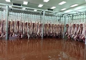 الأوقاف: توزيع 18  طن لحوم أضاحي على الأسر الأولى بالرعاية بـ 5 محافظات.. غدا 