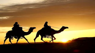 هل كانت الهجرة هروبًا من الأزمات؟.. عالم بالأوقاف يوضح الحقيقة