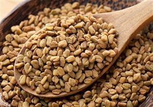 تزيد الوزن.. ماذا يحدث لجسمك عند تناول الحلبة؟