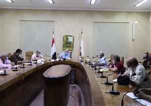 خطة زمنية لمشروعات مبادرة النخيل في الوادي الجديد