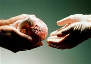 ماذا يحدث لجسم المتبرع بالأعضاء؟