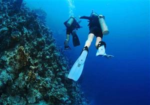 صرف الدفعة الثانية من إعانات صندوق الطوارئ لأعضاء غرفة سياحة الغوص بجنوب سيناء