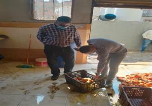 صور.. غلق 6 منشآت غذائية وإعدام أكثر طن أغذية فاسدة في الشرقية