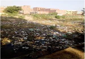 استجابة للشكاوى.. تطهير ترعة الشرقاوية في شبين القناطر