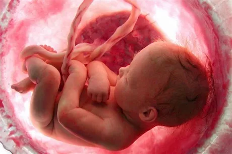 هل يمكن تحديد لون عين الجنين في الحقن المجهري؟ – طبيب يجيب