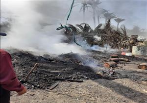 حملة لإزالة "مكامير الفحم المخالفة لاشتراطات البيئة" في دمياط