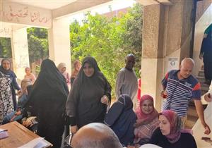 تزايد الإقبال على لجان إعادة انتخابات الشيوخ بكفر الشيخ