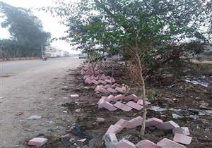 محافظة الجيزة: زراعة ٤٥٠ شجرة مثمرة بأطفيح وغلق وإزالة ١٢ منشأة