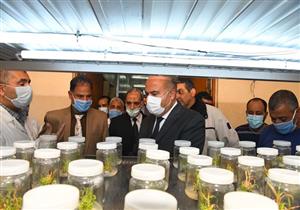 بالصور.. محافظ قنا يشهد بدء موسم توريد القصب بمصنع سكر نجع حمادي