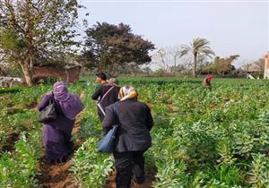 لجان لتطوير القرى الأكثر احتياجًا في القليوبية- صور