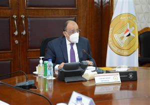 التنمية المحلية: تمويل 1779 مشروعًا صغيرًا للشباب خلال شهر بقروض 333 مليون جنيه