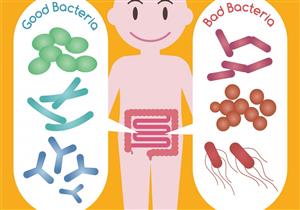 أبرزها الزبادي.. 6 أطعمة تحافظ على توازن الميكروبيوم في الأمعاء