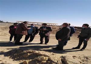 تخصيص 100 فدان في واحة الخارجة لمشروع مصنع الأخشاب بالوادي الجديد