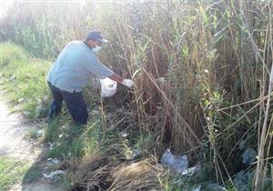 بالصور.. حملة لمكافحة القوارض وحماية محصول القمح بالبحيرة