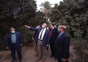 بسبب الإدارة.. وزير الزراعة يقرر إعادة مشتل المنيب إلى الهيئة العامة للإصلاح الزراعي