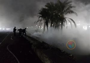 بالصور.. السيطرة على حريق أشجار بمنطقة المعلمين في أسيوط 