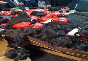 بـ2 مليون جنيه.. ضبط 140 كليو شعر طبيعي مع راكب في مطار القاهرة (صور)