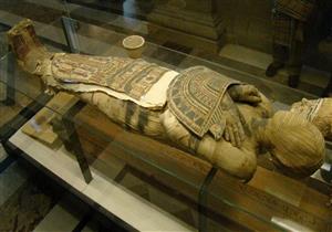 ​​"بطة وحمامة ودجاجتان".. خبير مصري يكشف أسرار علم التحنيط 