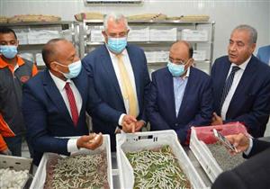 وزير التنمية المحلية يتفقد مشروع واحة الحرير بالوادي الجديد 