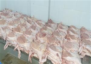 ضبط دواجن مجهولة المصدر داخل مطعم بمدينة نصر