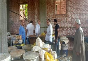 بها حشرات وديدان.. ضبط 16 طن أسماك فاسدة داخل مصنع بالبحيرة