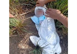  عمرها "يوم واحد".. العثور على رضيعة بأرض زراعية بالدقهلية