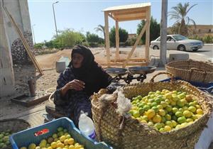 "نفسي في شمسية تحميني من الشمس".. محافظ جنوب سيناء يستجيب لطلب البائعة المعمرة بالطور- صور