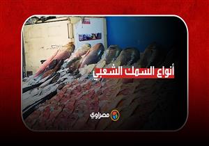 "صيد الليالي المظلمة ورزق الشنشولا".. تعرف على أنواع السمك الشعبي في حلقة السويس" 