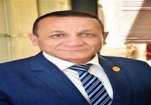 "خارجية الشيوخ": مصر هي الحامي الأول للأمن القومي العربي بفضل قواتها المسلحة