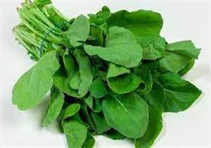 5 فوائد لتناول الجرجير كل صباح على الريق