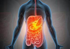 موسم الأعياد.. نصائح ذهبية لتجنب متاعب الجهاز الهضمي