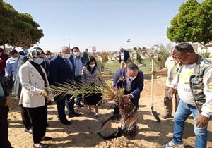 رئيس أكاديمية البحث العلمي يزرع نخلة بحديقة في الوادي الجديد- صور