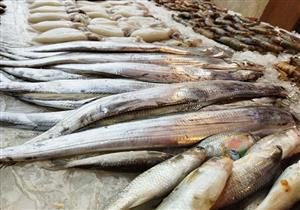 أسعار السمك والمأكولات البحرية اليوم السبت في سوق العبور