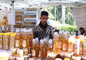 ارتفاع أسعار عسل النحل.. والإقبال يزيد بسبب الشتاء وأوميكرون