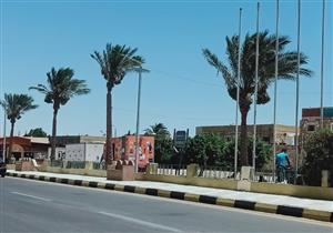  وكيل "زراعة جنوب سيناء" يعلن برنامج تسميد أشجار النخيل