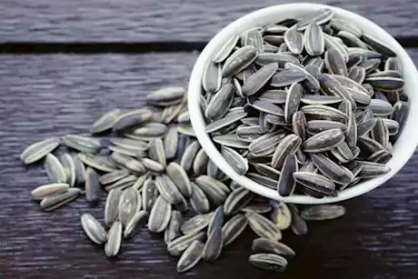 ماذا يفعل الإفراط في اللب المملح بالكبد والقلب والكلى؟