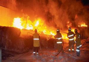 اندلاع حريق في مزرعة غابات الصرف الصحي بسوهاج