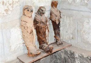 بطول 3 كيلو متر.. "سراديب تحت الأرض" تضم كنوزًا في المنيا - صور