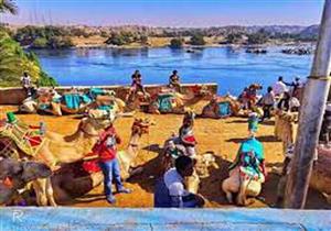 أشجار الكريسماس تزين المداخل.. فنادق أسوان تستعد لاستقبال احتفالات رأس السنة