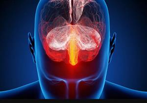 أطعمة شائعة تدمر الذاكرة والتركيز وتسبب الخرف