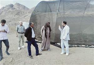 بالصور.. قوافل زراعية تجوب مدن ووديان جنوب سيناء 