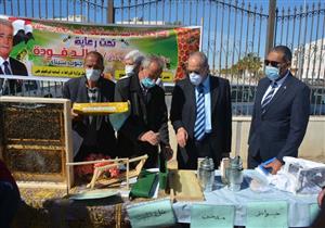 توزيع 250 خلية نحل على ذوي الهمم والمرأة المعيلة بجنوب سيناء- صور