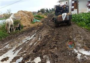 جرار زراعي يدهس رضيعًا أمام منزله فى الدقهلية