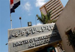 الجريدة الرسمية تنشر قرارًا بشأن رخصة زراعة الأرز لعام 2021